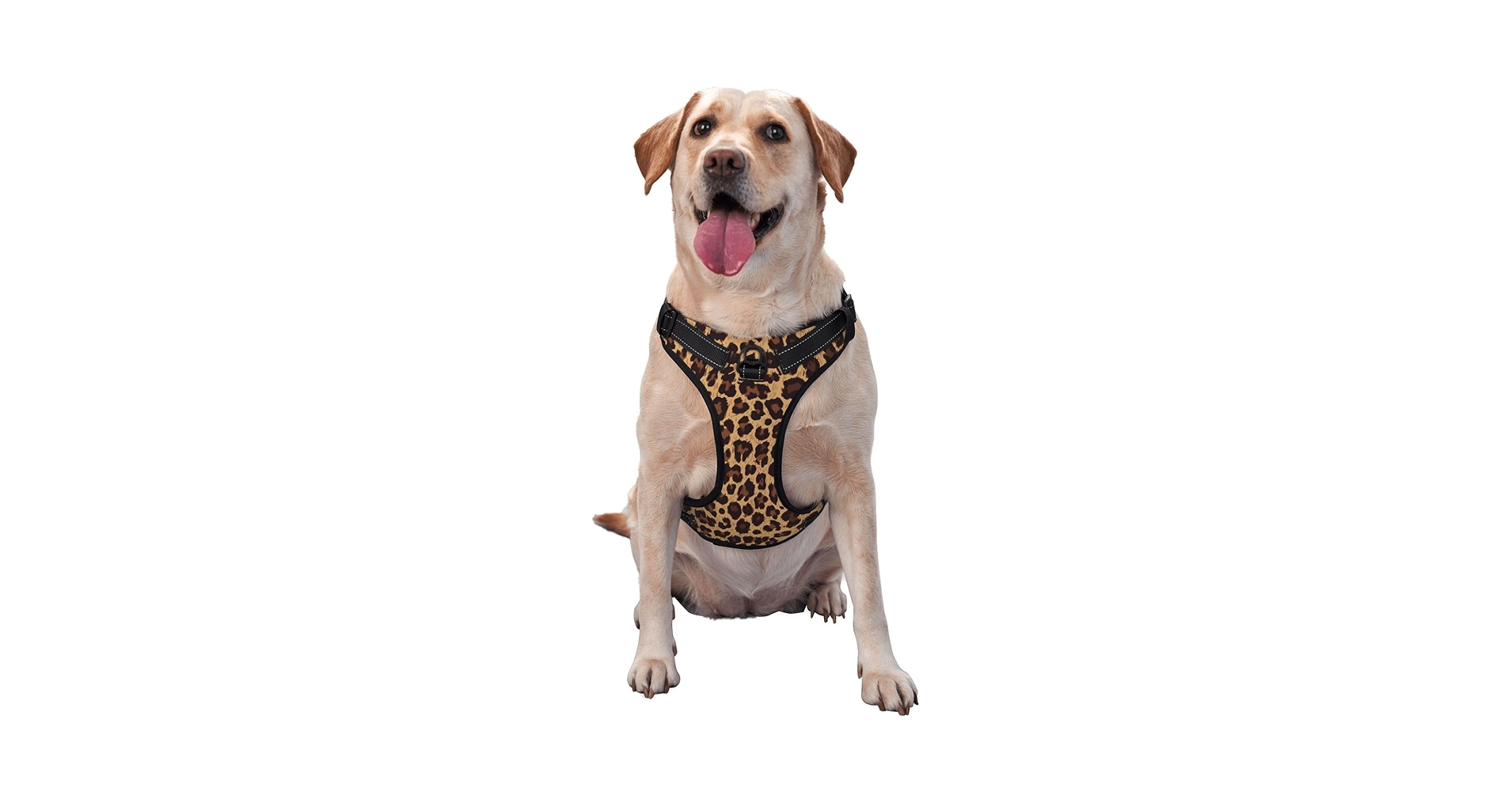 Amazon.com : Cool Cheetah Leopard Print Dog Harness and